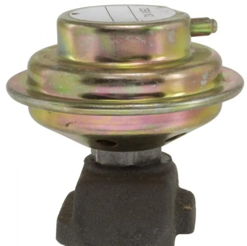 EGR VENTIL ROCHESTER PASSAR GM GMC 1973-84 Snabb frakt